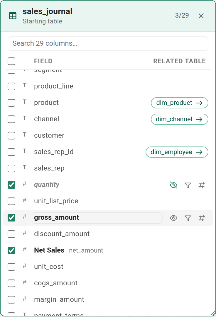The sales_journal card with net_amount renamed to Net Sales, quantity hidden, and the eye, filter, and type controls showing for gross_amount